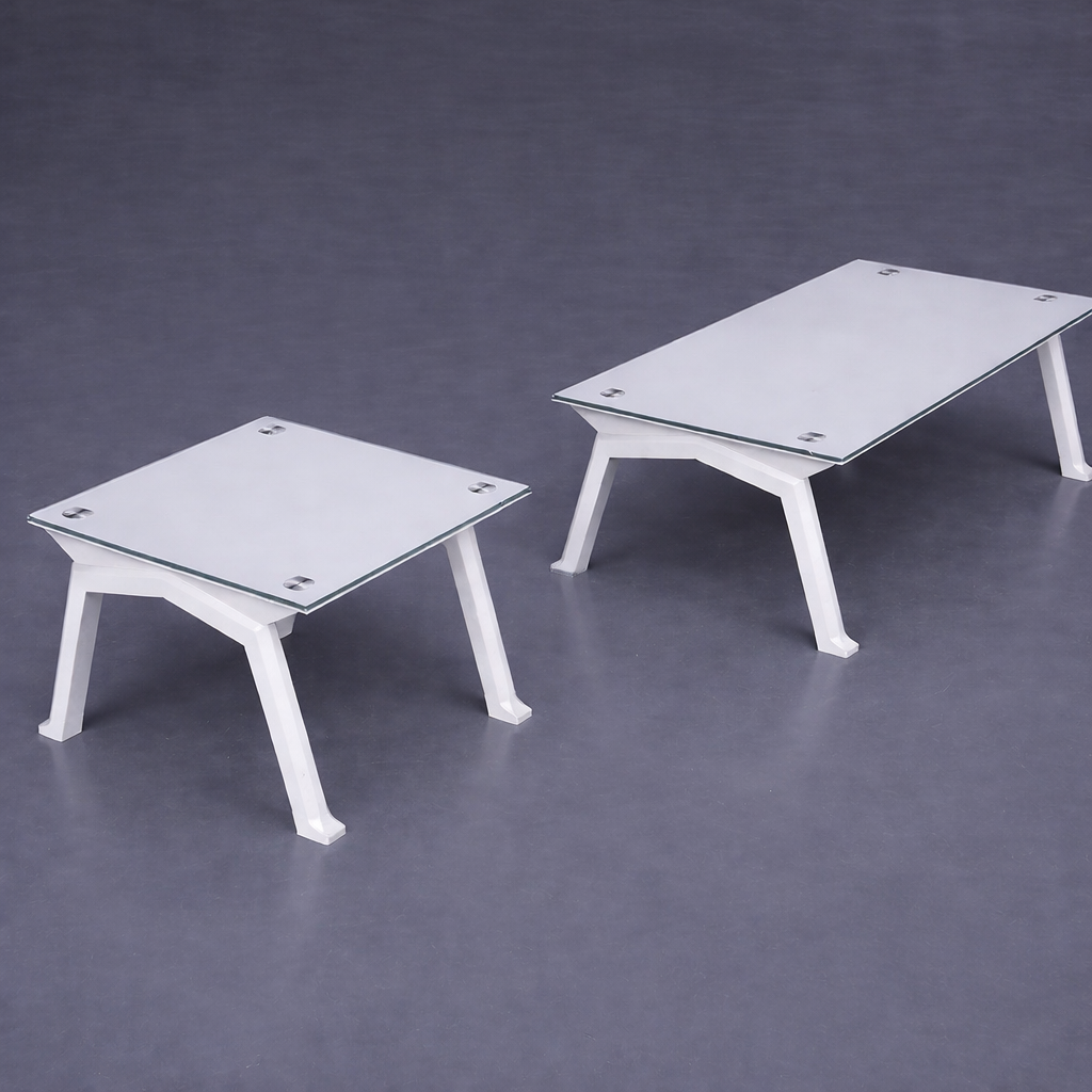 Zebra collection table basse